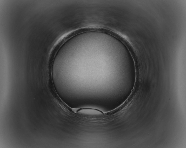 X0000086901319200705071235