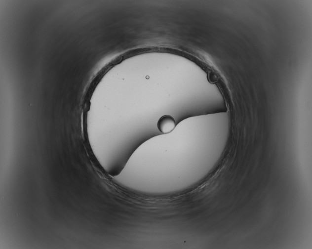 X0000086901320200705071235