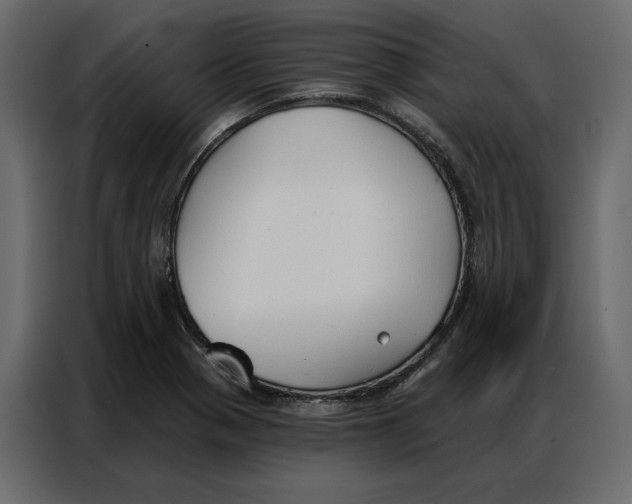 X0000086901321200705071235