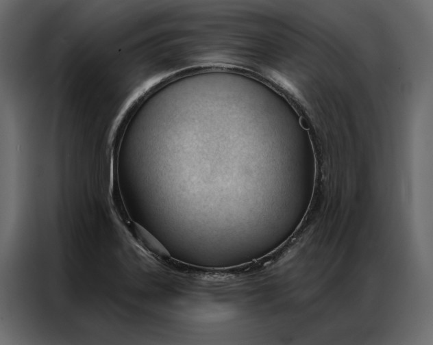 X0000086901323200705071235