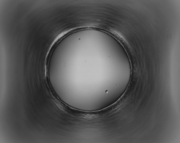 X0000086901324200705071235