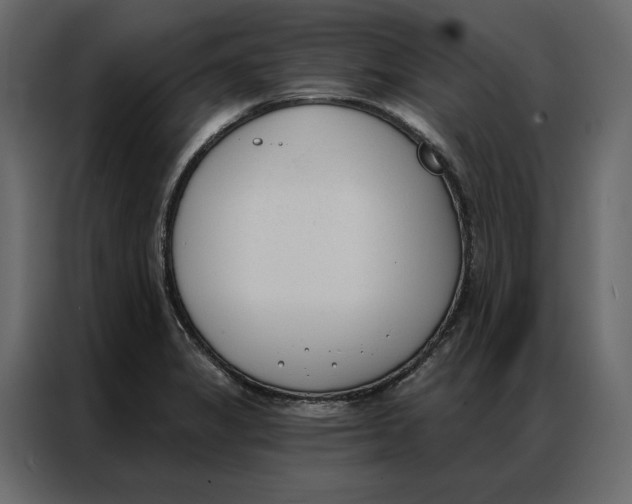 X0000086901325200705071235