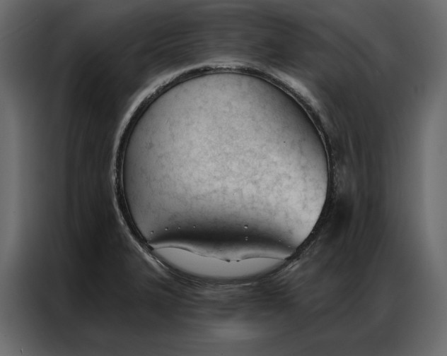 X0000086901327200705071235