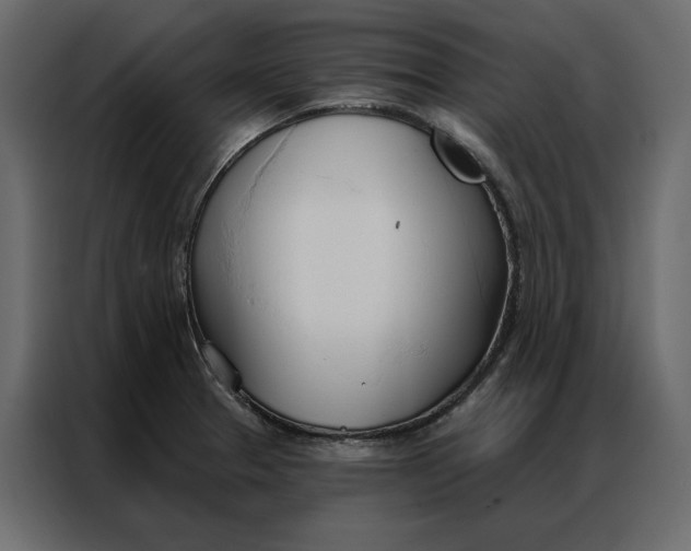 X0000086901329200705071235