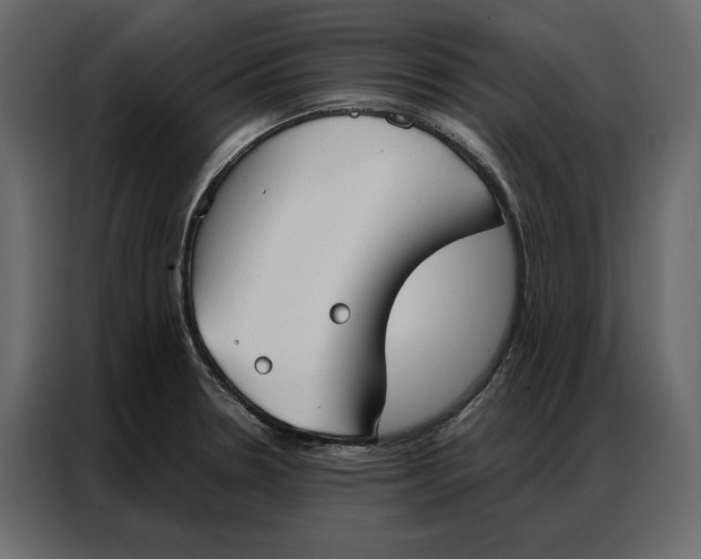 X0000086901330200705071235