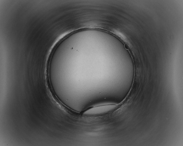 X0000086901331200705071235