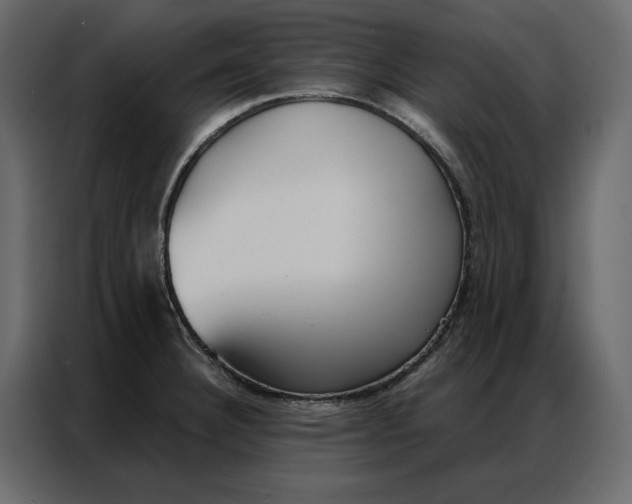 X0000086901332200705071235