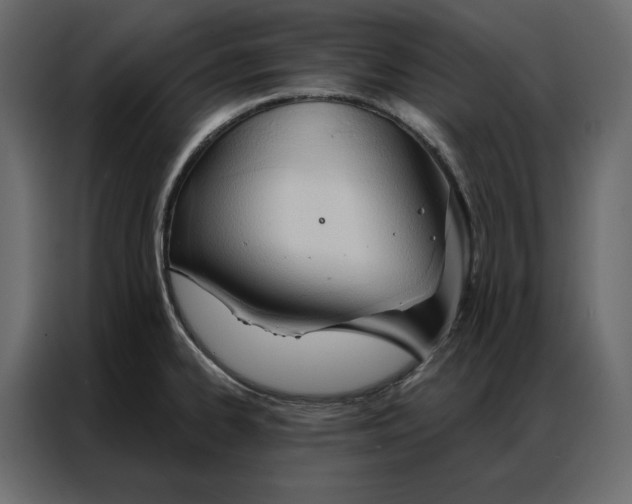 X0000086901334200705071235