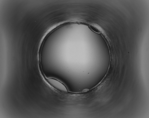 X0000086901335200705071235