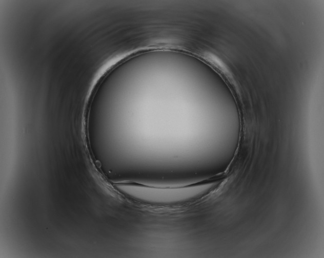 X0000086901336200705071235