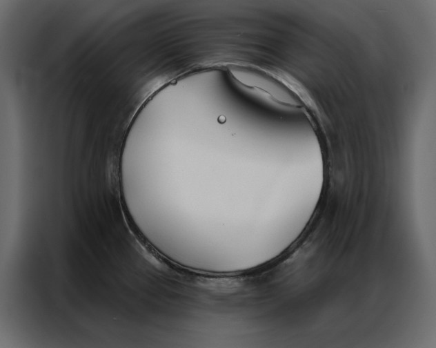 X0000086901337200705071235