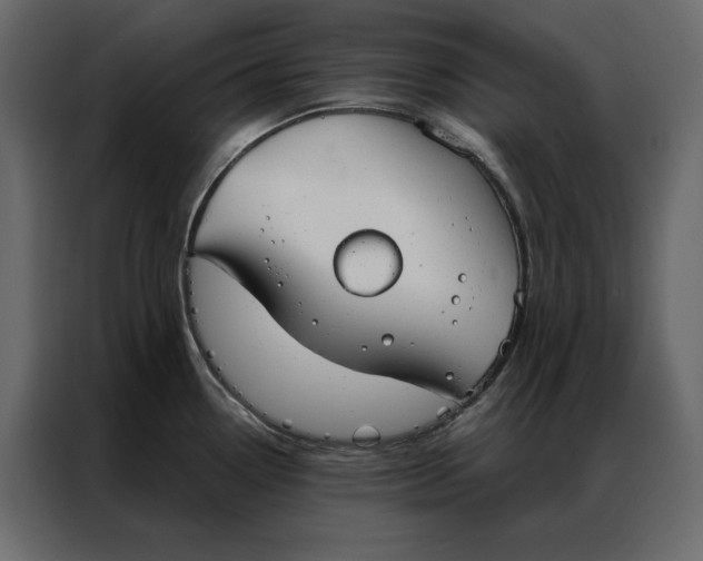 X0000086901338200705071236