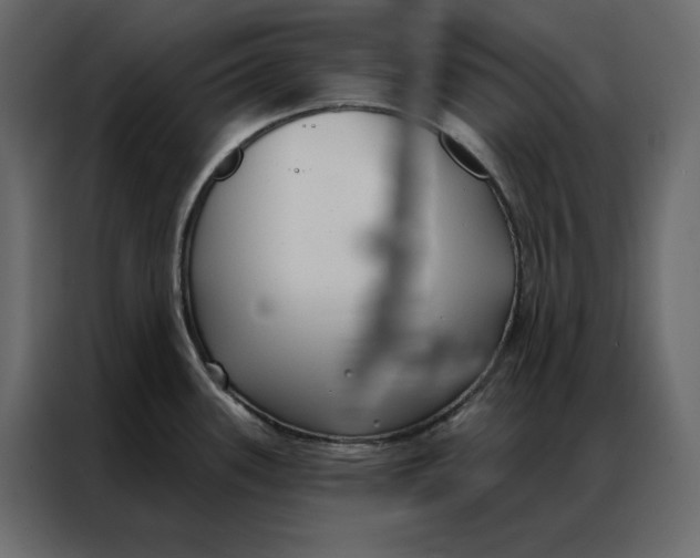 X0000086901339200705071236