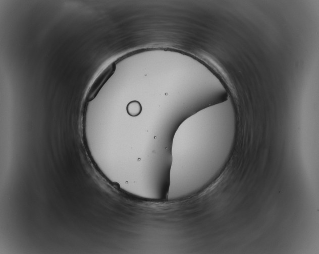 X0000086901340200705071236