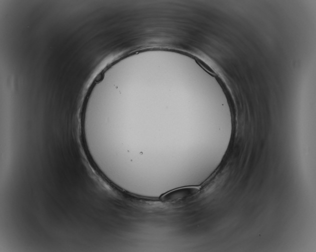 X0000086901341200705071236