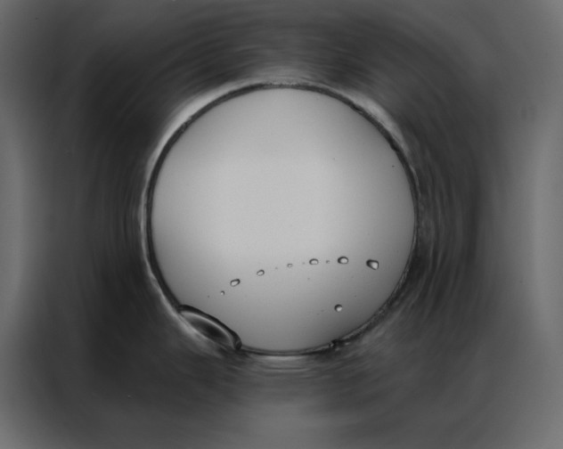 X0000086901343200705071236