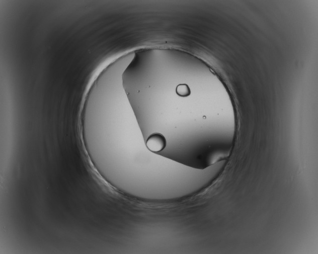 X0000086901344200705071236