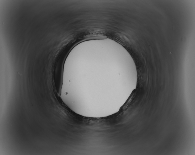 X0000086901345200705071235