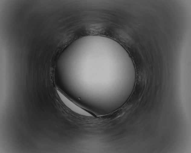 X0000086901346200705071235