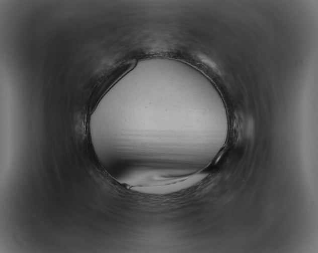 X0000086901348200705071235