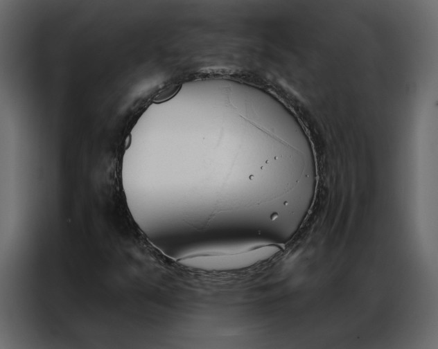 X0000086901351200705071235