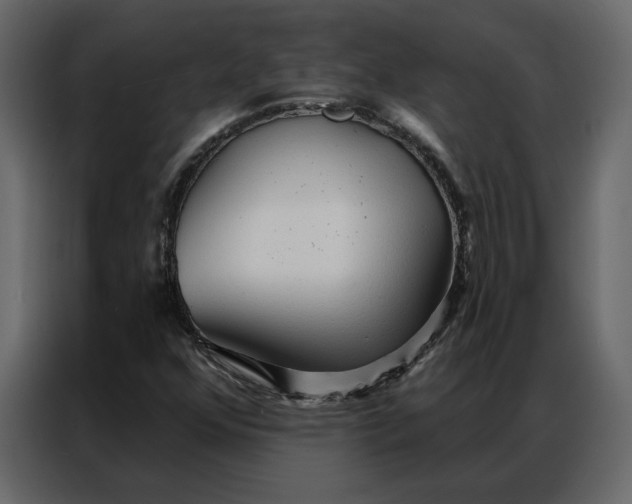 X0000086901352200705071235