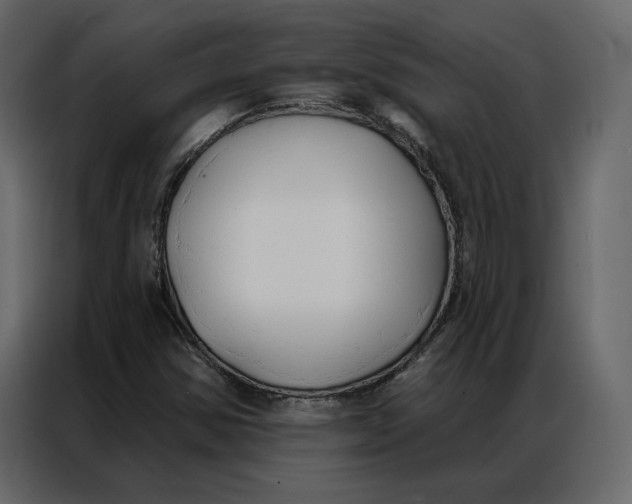 X0000086901354200705071235