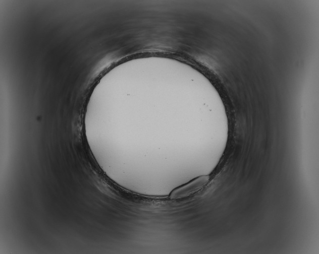 X0000086901355200705071235