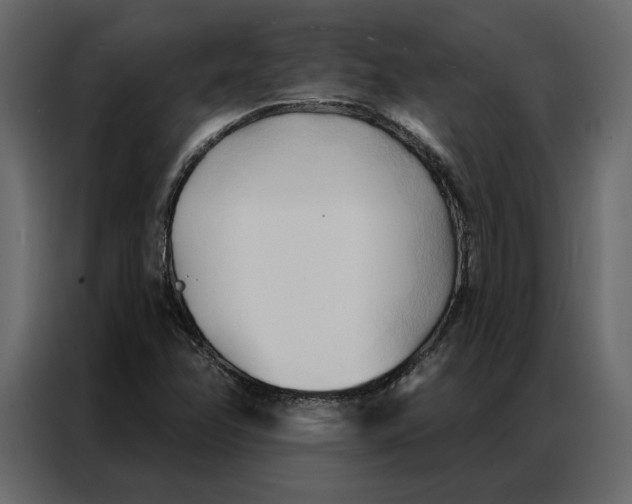 X0000086901358200705071235