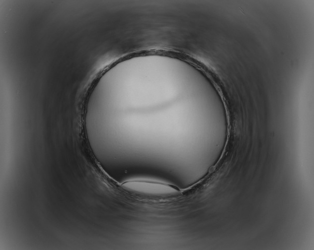 X0000086901359200705071235