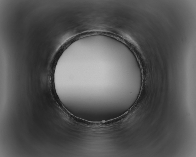 X0000086901360200705071235