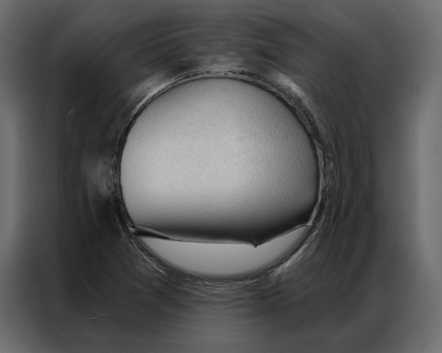 X0000086901361200705071235