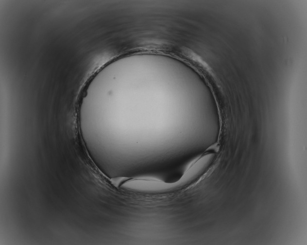 X0000086901362200705071235