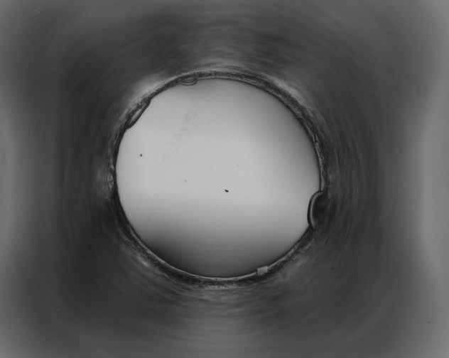 X0000086901363200705071235