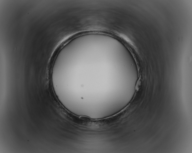 X0000086901364200705071235