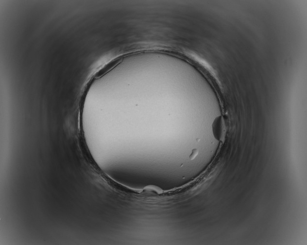 X0000086901365200705071235