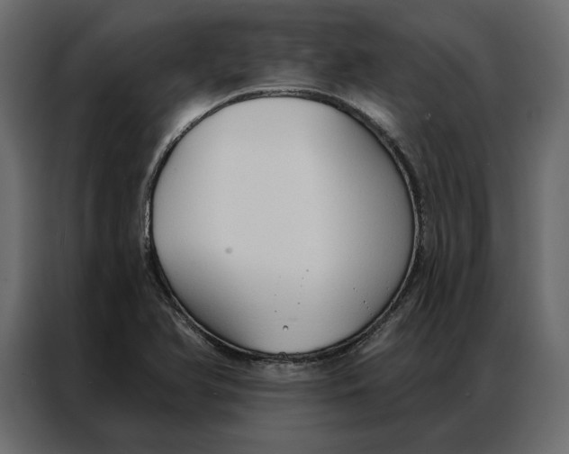 X0000086901366200705071235