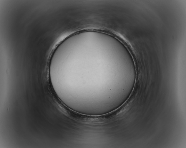 X0000086901367200705071235