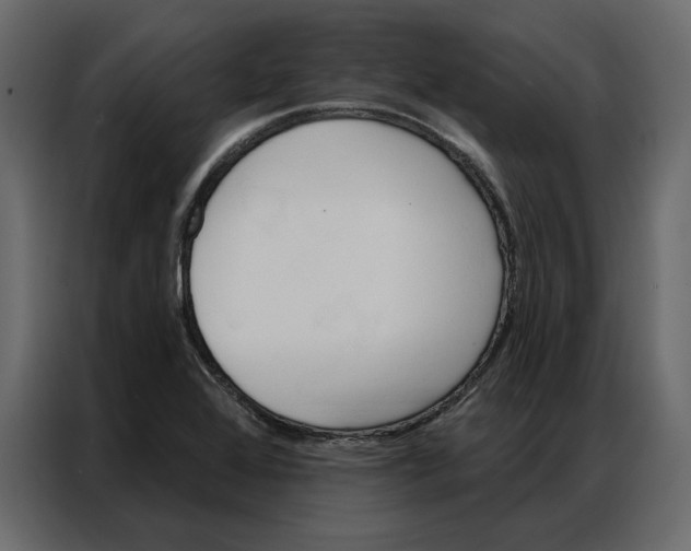 X0000086901368200705071235