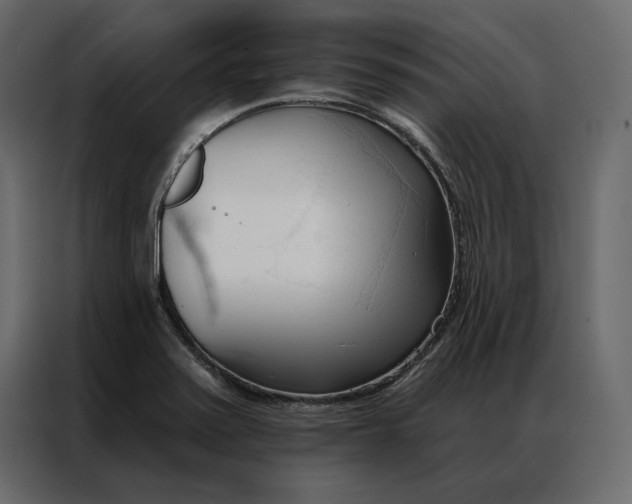 X0000086901371200705071235