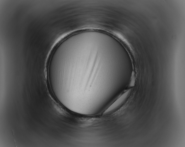 X0000086901372200705071235