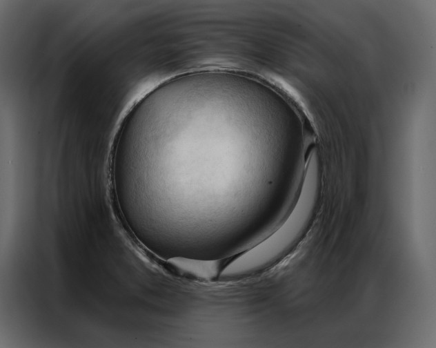 X0000086901373200705071235