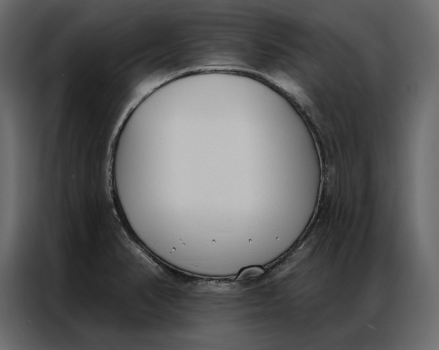 X0000086901374200705071235