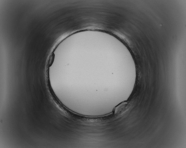 X0000086901375200705071235