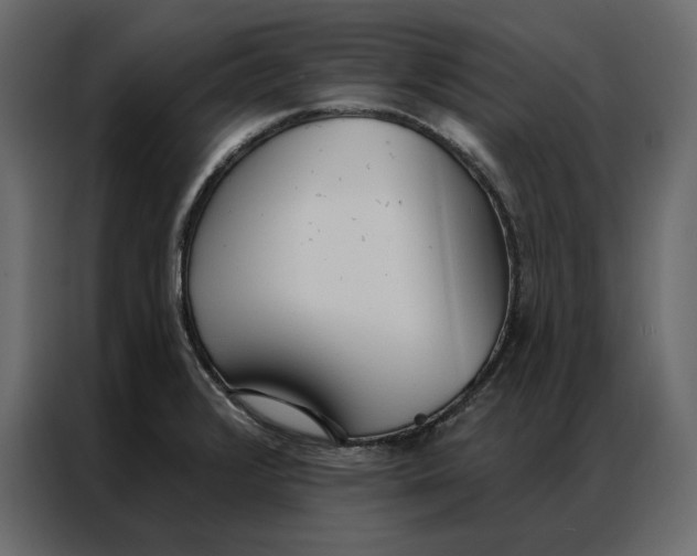 X0000086901376200705071235