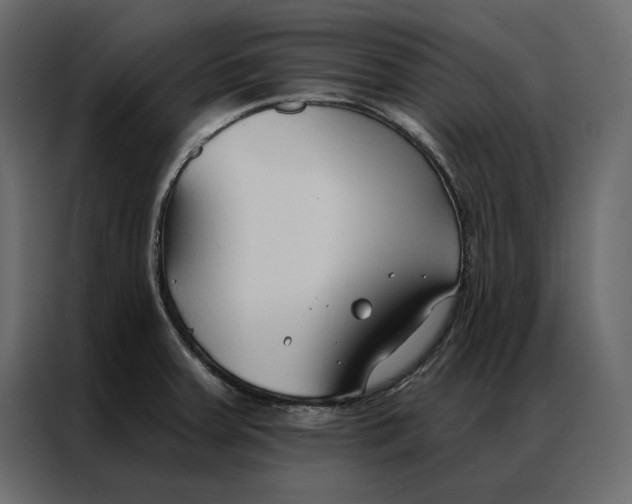 X0000086901379200705071235