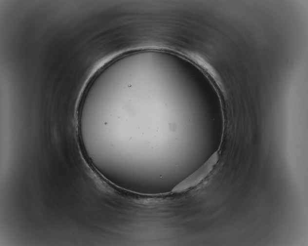 X0000086901380200705071235