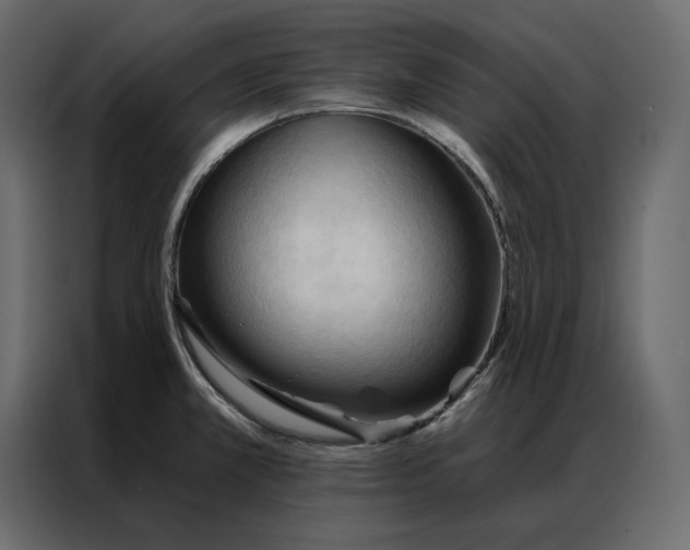 X0000086901381200705071234