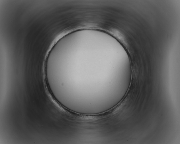 X0000086901382200705071234