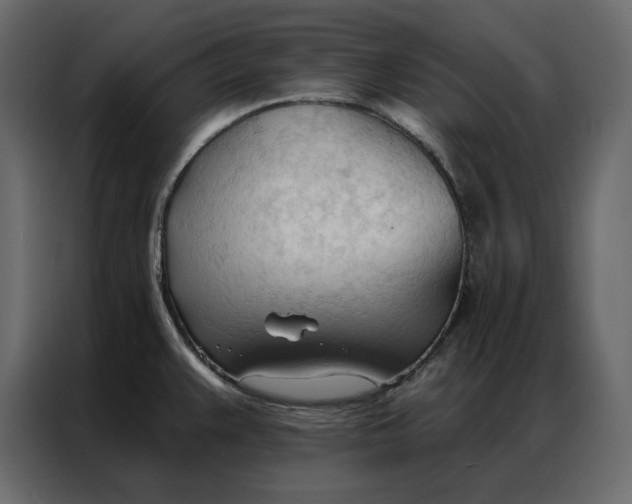 X0000086901383200705071234